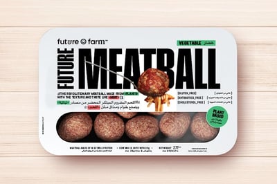 Future Meat Ball