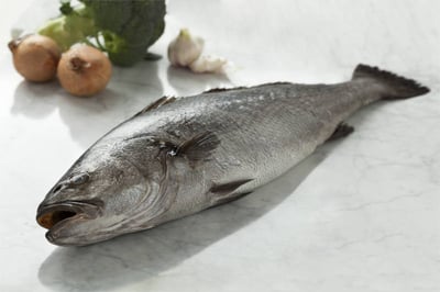 Ghol Fish / Jewfish - Whole