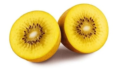 Golden Kiwi (3 Pc Pack)