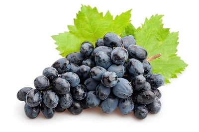 Grapes Black (IN) / عنب أسود هندي : Buy online | freshtohome.com