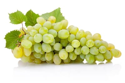 Grapes White Seedless (LB) - Pack of 500g