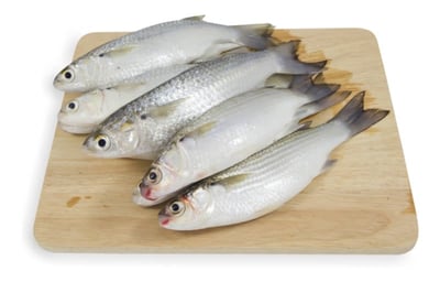 Grey Mullet / Thirutha / Bhangor (Small) - Whole (480g to 580g Pack)