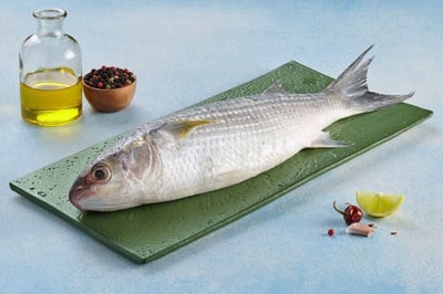 Striped Mullet / Kanambu / Pashe / Boi / Flathead Grey Mullet - Whole (Kolkata fish, 5g to 30g) (480g to 500g Pack)