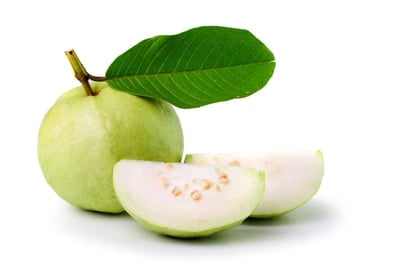 Guava - White