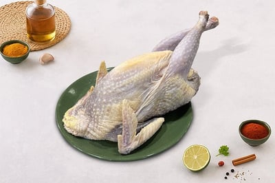 Guinea Fowl (free-range) - Whole with skin