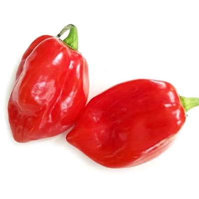 Chilli Habanero Red (HL) - (Pack of 100g)