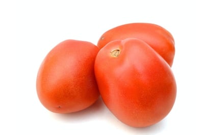 Tomato Hybrid