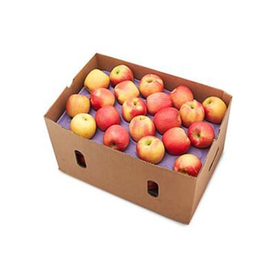 Apple Royal Gala (ZA) - 5kg