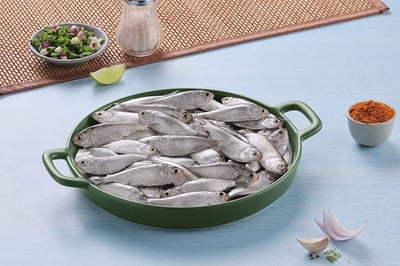 Chapila / Khoira (খয়রা) / Indian river shad - Whole, Uncleaned (480g to 500g Pack)