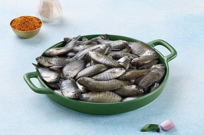 Kholshe / খলশে / Banded Gourami/ Colisa Fasciata - Whole, Uncleaned (480g to 500g)