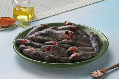 Climbing Perch / Koi / Karoop  - Whole Cleaned (480g to 500g Pack)