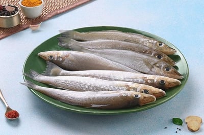 Lady Fish / Kane / Silver Whiting (Small) - Whole (460g to 500g Pack)