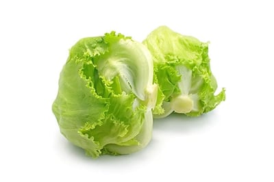 Iceberg Lettuce