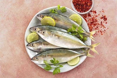 Mackerel / Ayala / Bangda / Aylai / ಬಂಗಡೆ (10 to 14 Count/kg) - Whole (As is without cleaning and cutting)