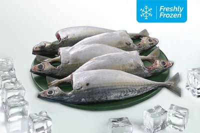 Mackerel / Ayala Cleaned (470g to 500g Pack, Freshly Frozen)