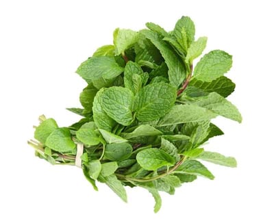 Mint Leaves - 100g Bunch (AE)