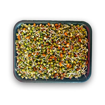 Sprout Mixed (AE) -Pack of 200g