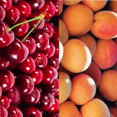 Cherry Apricot Mix 500g 