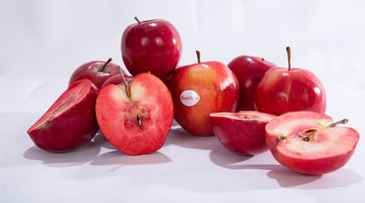 Apple Red Love (NL)