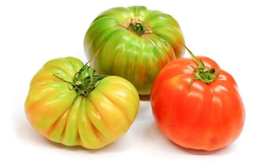 Tomato Heirloom Organic - 500g Pack