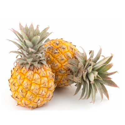 Imperfect Pineapple Baby (ZA) - 1 Unit