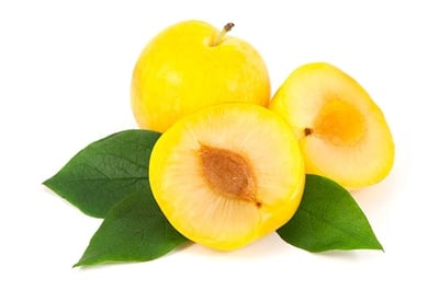 Plums Yellow - Pack of 6