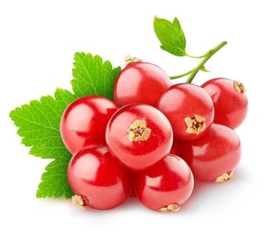 Redcurrant  - Pack of 125g 