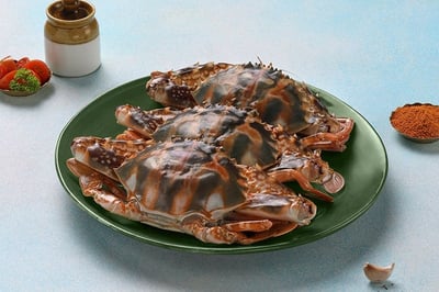 Sea Crab (Large 400g+) / سلطعون أزرق- سرطان أزرق - كبير الحجم