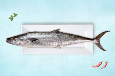 Kerala Seer Fish / King Fish / Surmai / Neymeen / Vanjaram / ಅಂಜಲ್ (2kg to 5kg)