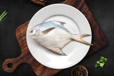 White Pomfret / Silver Pomfret / Avoli (1 Fish/Pack)(Size 600-700g/each fish)