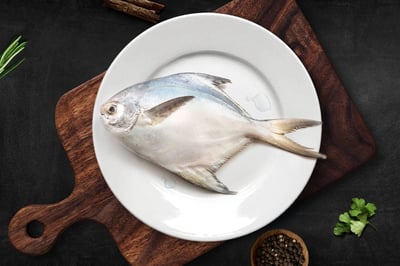 Premium  Silver Pomfret/ Avoli (1 Fish/Pack)  (Size 700-800g/Each Fish) - Whole (Uncleaned, as is)