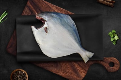 Premium  Silver Pomfret/ Avoli (1 Fish/Pack)  (Pre-cleaned Size 700-800g/each) - Whole Cleaned, Gutted