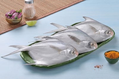 White Pomfret / Silver Pomfret/ Avoli (1 Fish/Pack)(Size 1-1.1Kg/each fish)