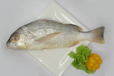 Silver Snapper / Cochin Marine Catla - Whole (Uncleaned, Not Descaled, Not Cut In Pieces) 