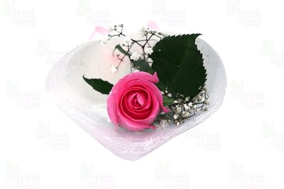 Elegant Single Rose Pink