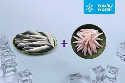 Freshly Frozen Combo: (Sardine Cleaned (Large) 200g + Anchovy Whole Cleaned 200g)