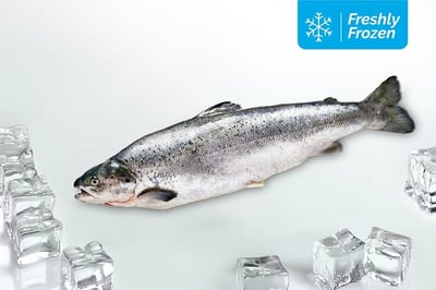 Wild Sockeye Salmon (Kamchatka)