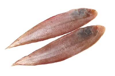Sole Fish / سمك موسى / Manthal (Large)