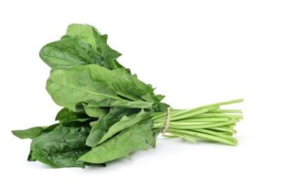 Spinach Leaf - 100g Bunch