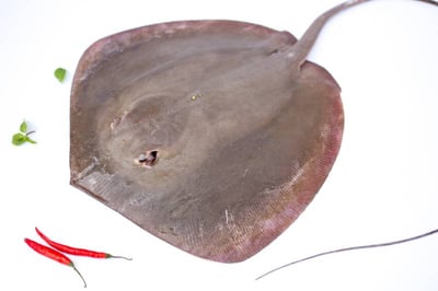 Freshwater Stingray / Thirandi (Will have strong smell, read description) - Whole