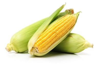Sweet Corn (AE) 