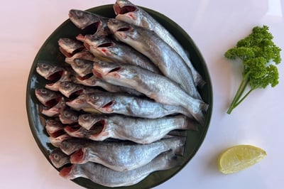 Freshwater Anchovy / Kozhuva / Natholi/ Kachki / কাচকি (Whole) - Whole Cleaned (250g to 270g Pack)