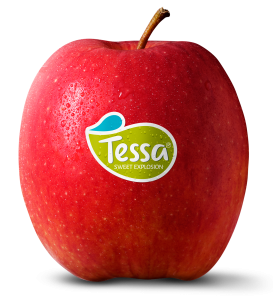 Apple Tessa (IT) Pack of 4
