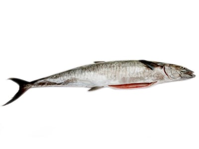 Kerala Seer Fish / King Fish / Surmai / Neymeen / Vanjaram / Anjal (2kg to 5kg) - Gutted	
