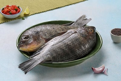 Tilapia / Jalebi Fish (Large) - Whole (480g to 550g Pack) 