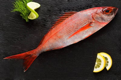 Tropical Snapper - Whole