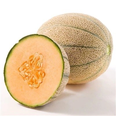 Rock Melon (IN) - 1unit 