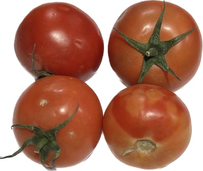 Imperfect Tomato
