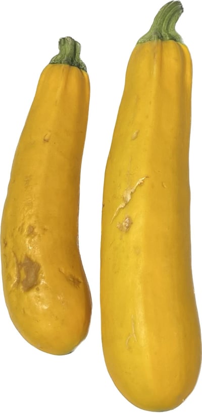 Imperfect Zucchini Yellow