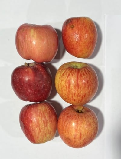 Imperfect Assorted Apples